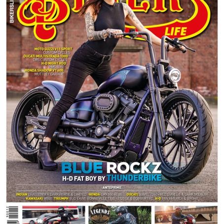 15 Bikers Life Dez