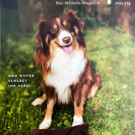 12 Michels Mag