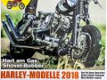 45 Custombike