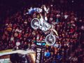 NIGHT OF THE JUMPS byBENOTT 74