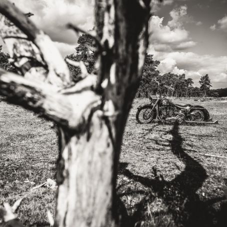 Gringo Shooting by Ben Ott  112