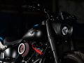 38  H D Duesseldorf Mad Boy  15. Oktober 2020  FOTO  C  BEN OTT  LEICA SL2