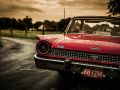 Rumblers BBQ 2017 69