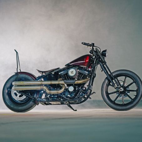 2  Evo Springer with Annabelle   Alessandro   19. Dezember 2020  FOTO  C  BEN OTT  DC S5