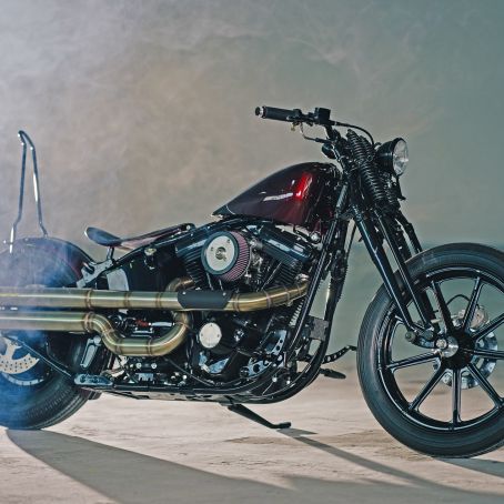 3  Evo Springer with Annabelle   Alessandro   19. Dezember 2020  FOTO  C  BEN OTT  DC S5